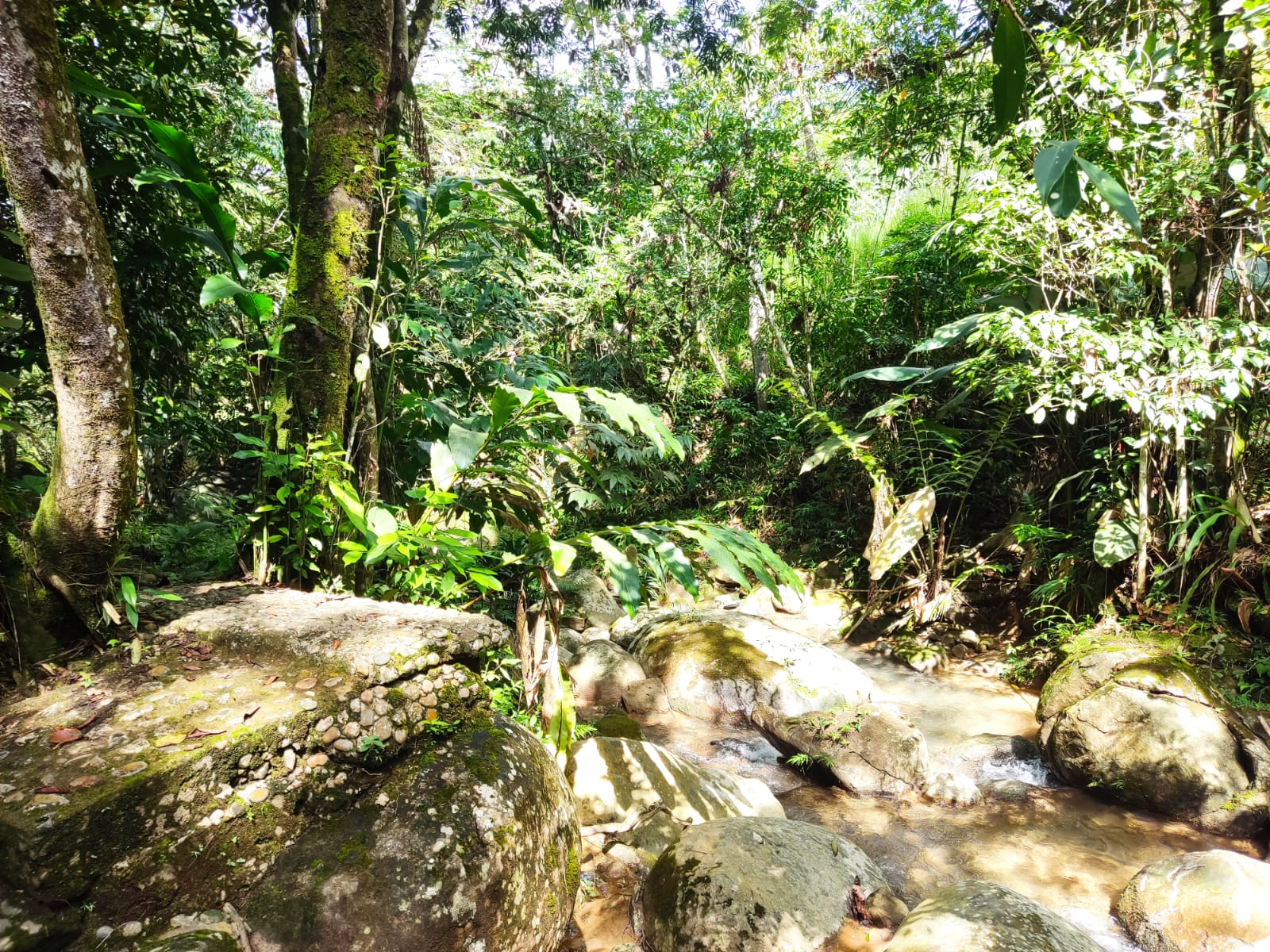 Venue image 6